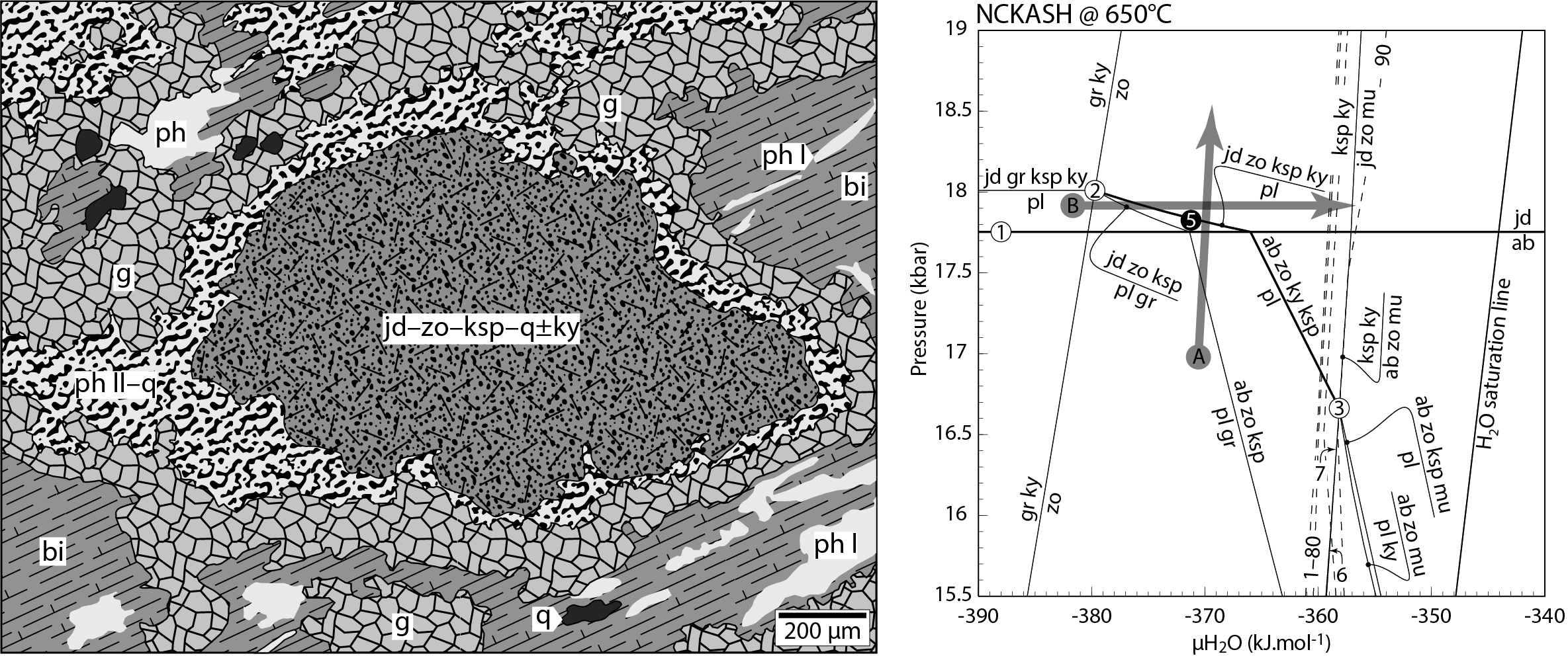 Plagioclase-breakdown texture (left) and chemical potential diagram.)